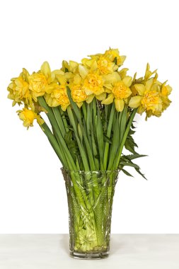 Vazoda sarı nergis