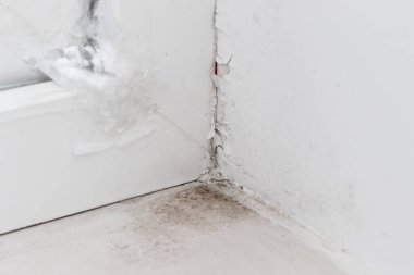 Plastik pencerenin köşesindeki küf