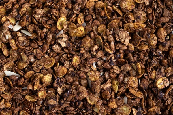 Organic Homemade Roasted Granola Cereal Oats Flax Almonds Chocolate Sunflower — Stock Photo, Image