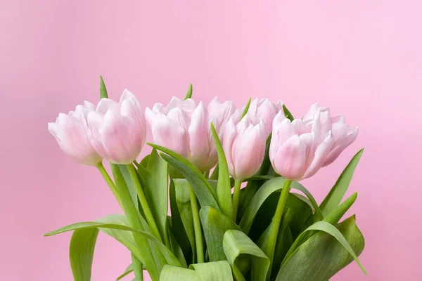 Beautiful Delicate Bouquet Tulip Flowers Pink Background — Stock Photo, Image