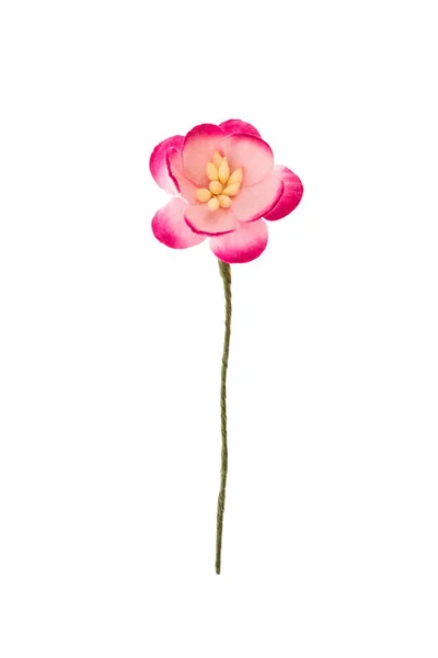 스크랩북을 위한 종 이 꽃 — 스톡 사진