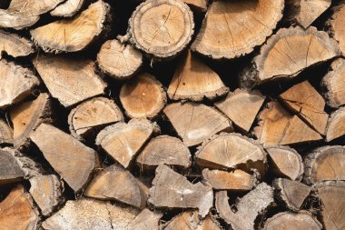 Yakacak odun yığınları arka planda