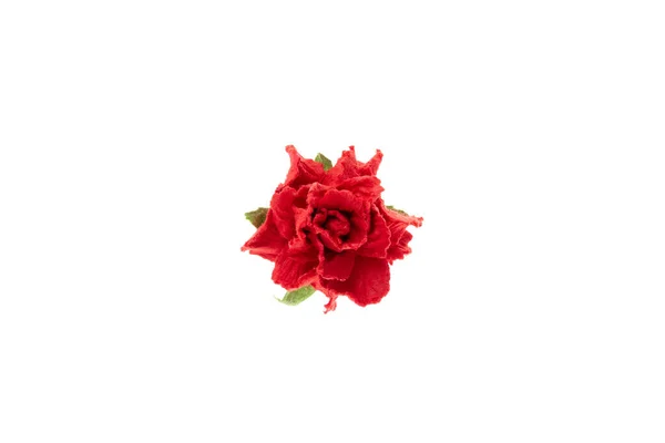 Cravo Vermelho Flor Para Scrapbooking Isolado Fundo Branco Elemento Scrapbook — Fotografia de Stock