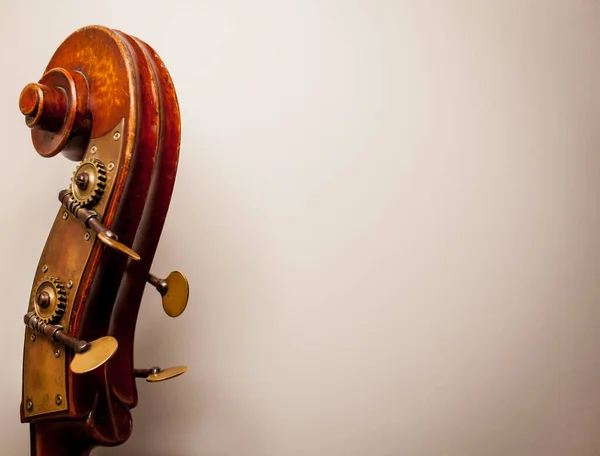 バイオリンのクローズアップの写真 チェロ弦のクローズアップ クラシック音楽のコンセプト バイオリンの詳細 楽器バイオリン — ストック写真