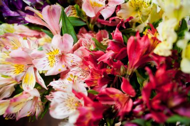 Bulanık arkaplanda rengarenk farklı çiçeklerden oluşan bir buket.