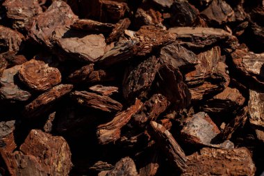 Crushed tree bark texture background closeup. Shredded brown tree bark for decoration and mulching or for playground. The pieces of tree bark texture like for background. bark texture closeup.