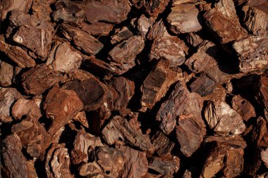 Crushed tree bark texture background closeup. Shredded brown tree bark for decoration and mulching or for playground. The pieces of tree bark texture like for background. bark texture closeup.