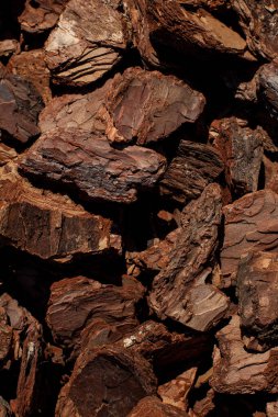 Crushed tree bark texture background closeup. Shredded brown tree bark for decoration and mulching or for playground. The pieces of tree bark texture like for background. bark texture closeup.