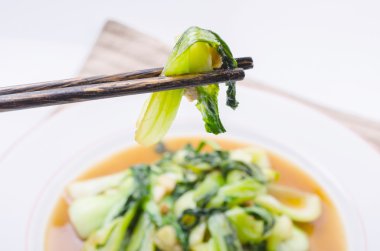 hinese Bok Choy yeşil sebzeler 