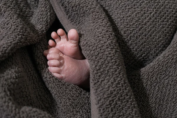 Nyfödda fötter — Stockfoto