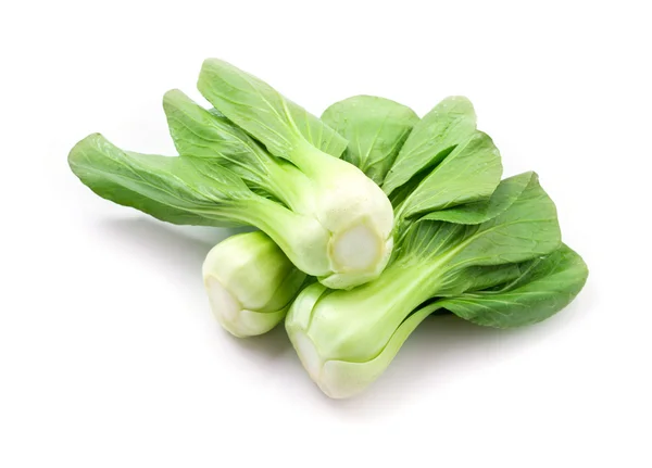 Bok choy (chinese cabbage) — Stock Photo, Image