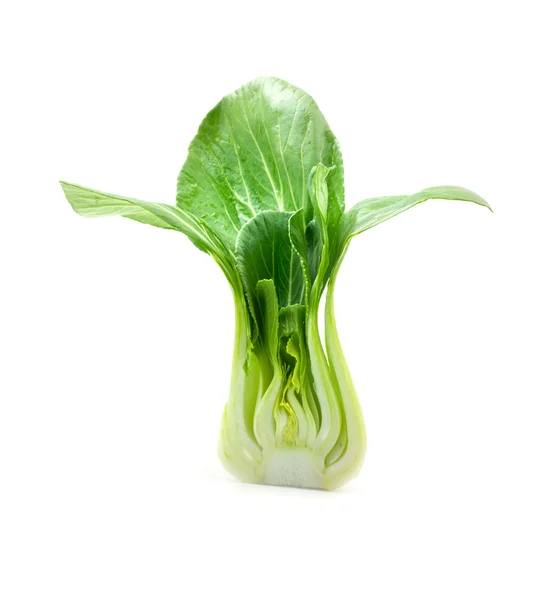 Bok choy (chinesischer Kohl)) — Stockfoto