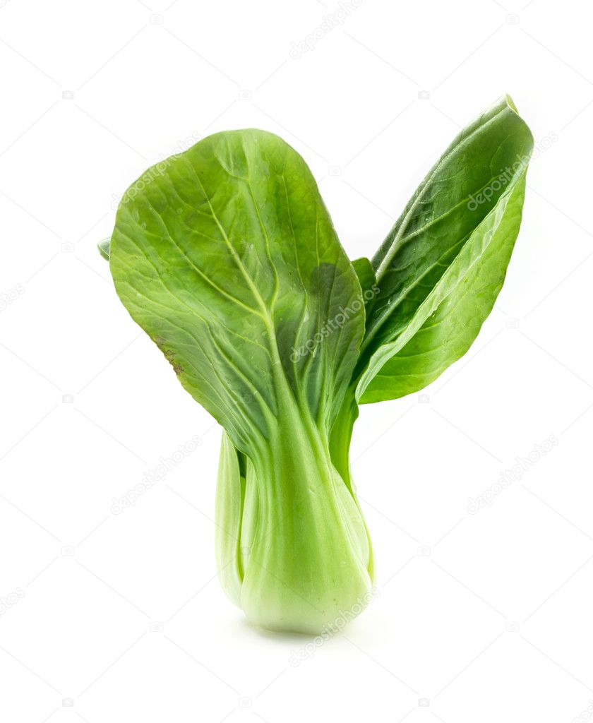 Bok choy (chinese cabbage) 