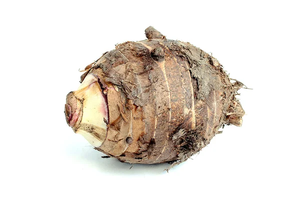 Group of taro roots on white — Stock Photo, Image