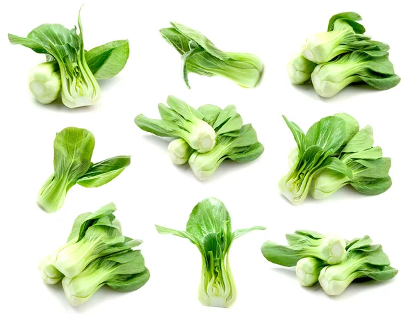 Bok choy (китайская капуста ) — стоковое фото