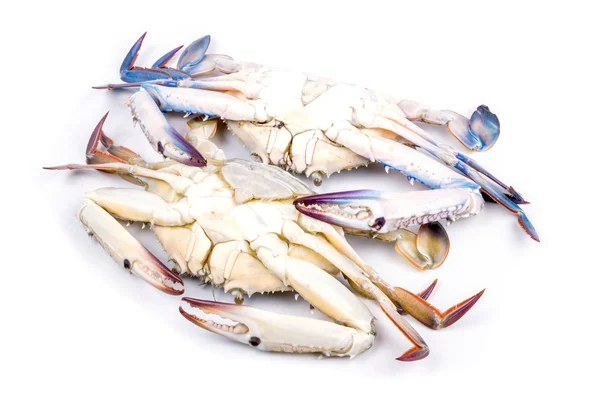 Blue crab — Stock Photo, Image