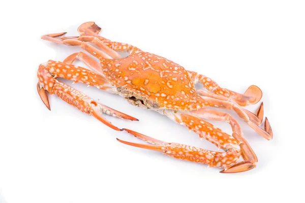 Red crab — Stock Photo, Image