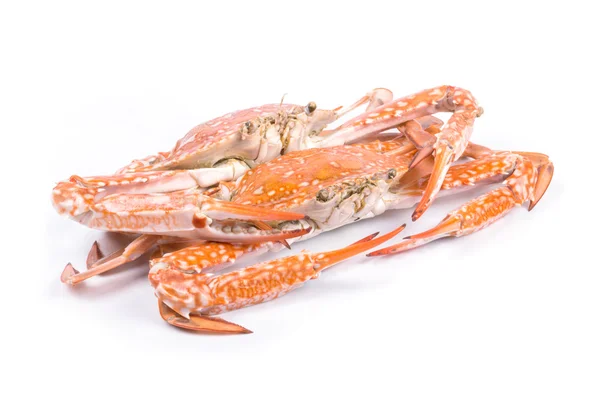 Red crab — Stock Photo, Image