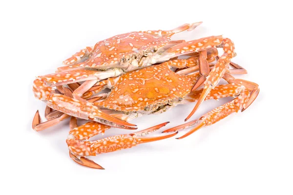 Crabe rouge — Photo