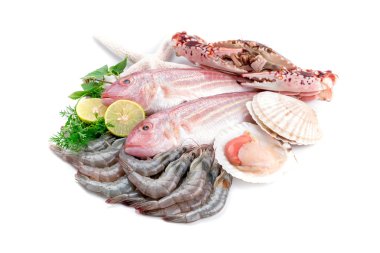 taze deniz ürünleri