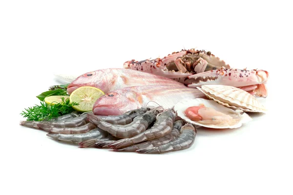 Fresh seafood — Stock Photo, Image