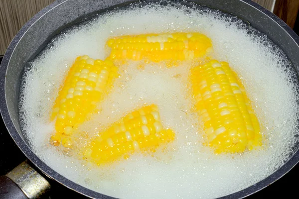 Corn boiling in pot — Stock Photo, Image