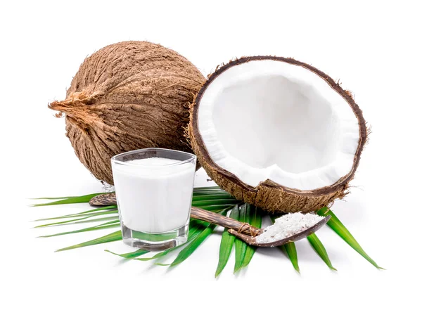 Cocos y leche de coco — Foto de Stock