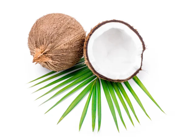 Coconuts — Stock Photo, Image