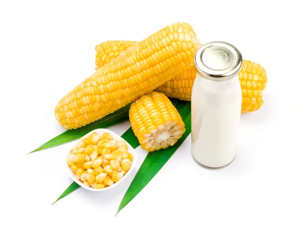 Corn — Stock Photo, Image