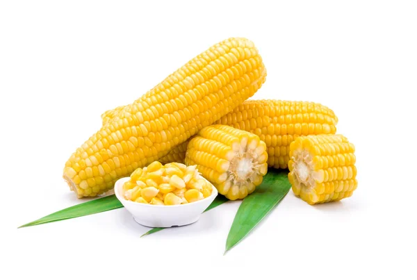 Corn — Stock Photo, Image