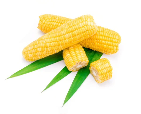 Corn — Stock Photo, Image