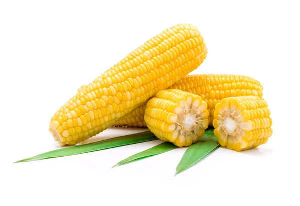 Corn — Stock Photo, Image