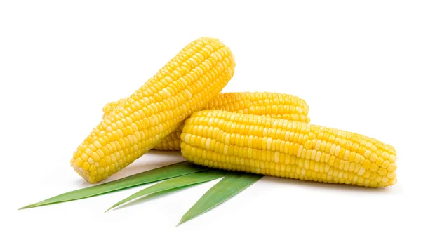 Corn — Stock Photo, Image