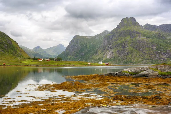 ノルウェーのロフトテン島にあるモスケンストラメンの自然 — ストック写真
