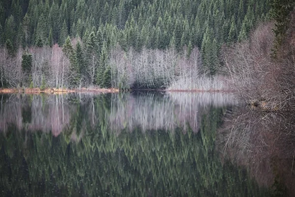 Reflexión Lago Noruego Selbu Noviembre — Foto de Stock