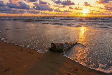 Fırtınalı yaz günbatımında küçük bir kasaba olan Saulkrasti 'de beyaz kumlu plaj. 
