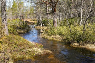 Innerdalen (innset), Norveç 'teki bataklıkta bahar seli 