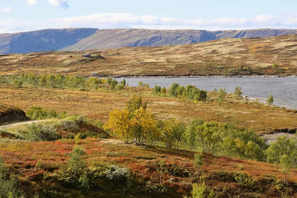 Kvikne自治体に位置するLake Stor Sverjeは秋の狩猟のための人気のある場所です — ストック写真