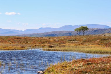 Forollhogna Ulusal Parkı 'nda sonbaharda avlanmak için popüler bir alan. 