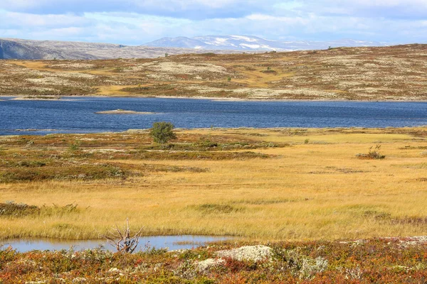 Lago Stor Sverje Situato Nel Comune Kvikne Norvegia — Foto Stock