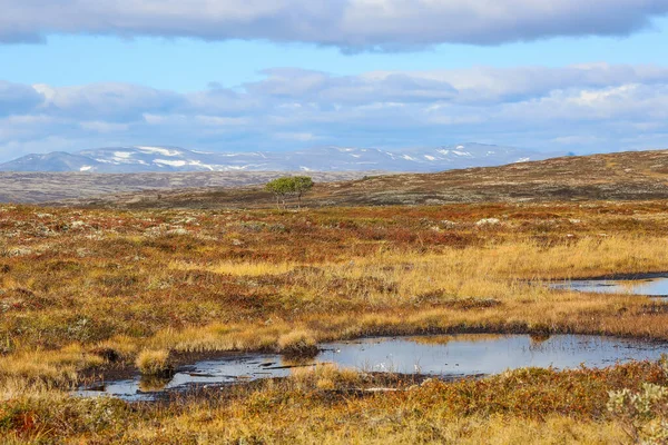 Queda Parque Nacional Forollhogna Área Popular Para Caça Outono — Fotografia de Stock