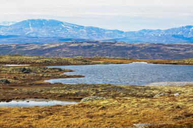 Bataklıkta bahar seli, Kvikne Brune dağı bölgesi, Rennebu belediyesi, Norveç 