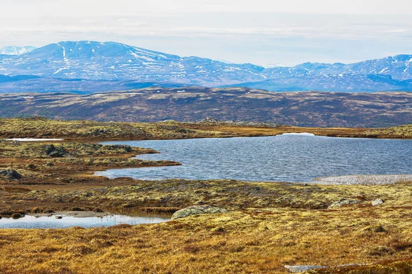 Bataklıkta bahar seli, Kvikne Brune dağı bölgesi, Rennebu belediyesi, Norveç 