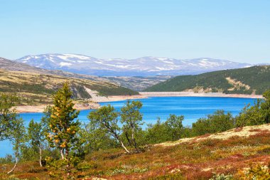 Norveç 'in Rennebu belediyesinde yer alan Innerdalsvatnet gölünün havadan görüntüsü..