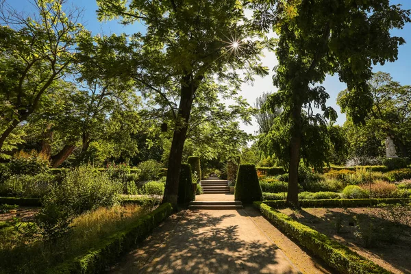 スペインの首都マドリードの植物園の路地 — ストック写真