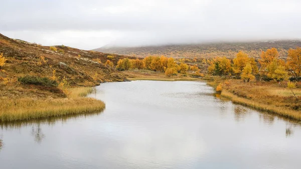 Autunno Natura Colorata Nel Parco Nazionale Forollhogna Norvegia — Foto Stock