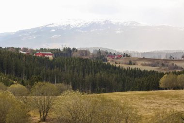 İlkbaharda sisli yağmurlu bir günde Norveç 'in Trondheim kenti yakınlarında yer alan Bratsberg ve Vassfjella Dağı' nın tarım alanının manzarası 