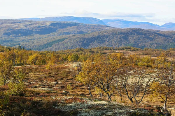 Caduta Nel Parco Nazionale Forollhogna Norvegia — Foto Stock