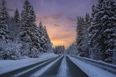 Norveç 'in ormanlarında gün batımında karlı kış yolu