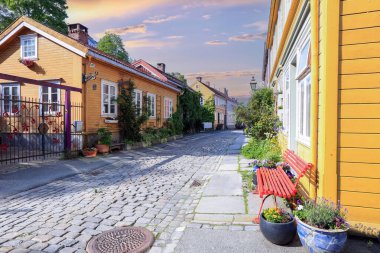 Yazın Trondheim 'da, tarihi yerleşim bölgesi Bakklandet' deki Nedre Bakklandet sokağı manzarası